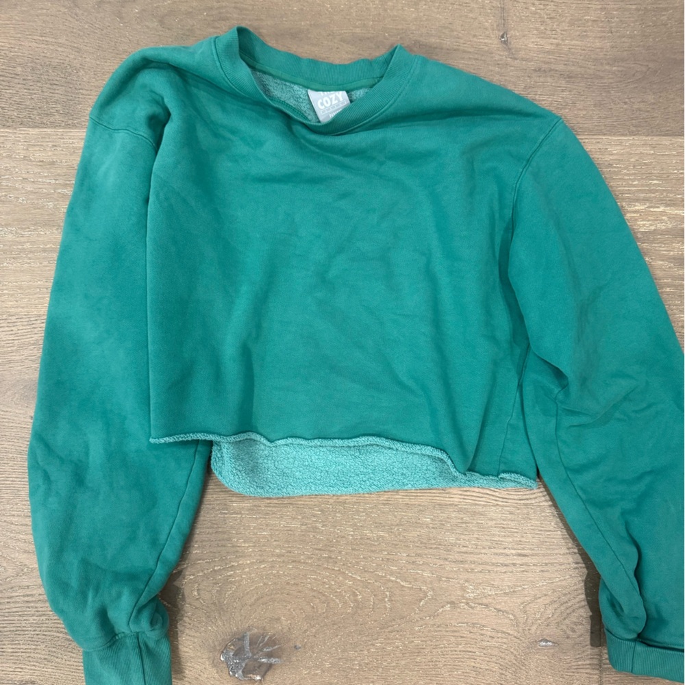 Aritzia crop sweatshirt